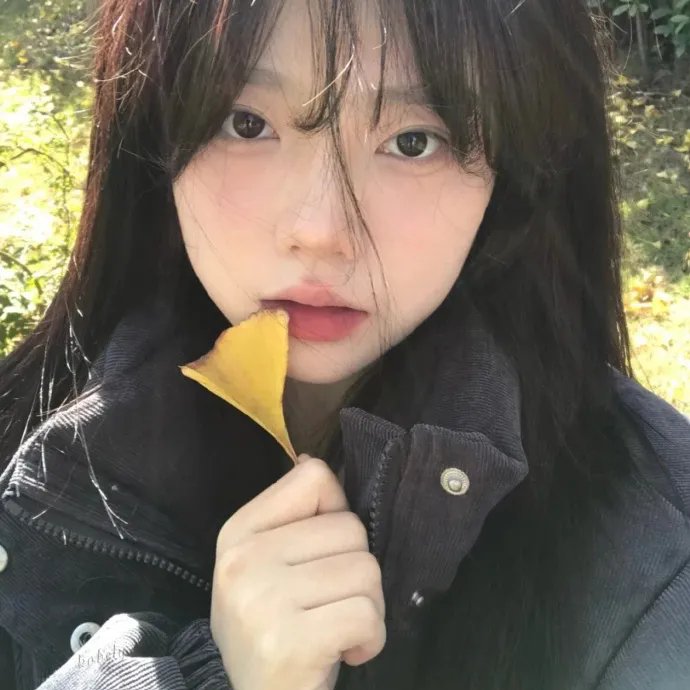 最完美的女孩 封面